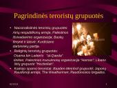 Terorizmas. Kas tai? 11 puslapis