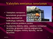 Terorizmas. Kas tai? 7 puslapis
