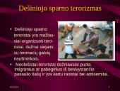Terorizmas. Kas tai? 9 puslapis