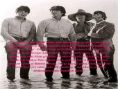 The Beatles 15 puslapis