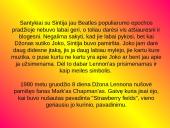 The Beatles 7 puslapis