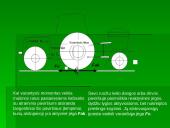 Traktoriaus inžinerija 2 puslapis