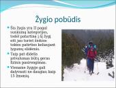 Turizmas: slidžių žygis Lietuvos pajūriu 4 puslapis