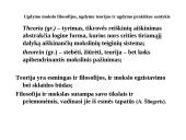 Ugdymo mokslo filosofijos, ugdymo teorijos ir ugdymo praktikos santykis 11 puslapis