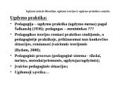 Ugdymo mokslo filosofijos, ugdymo teorijos ir ugdymo praktikos santykis 12 puslapis
