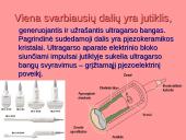 Garsas bei ultragarsas 14 puslapis