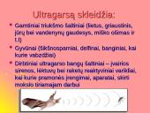 Garsas bei ultragarsas 5 puslapis