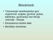 Upių biocenozė 2 puslapis