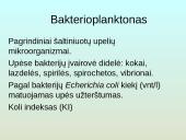 Upių biocenozė 11 puslapis