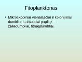 Upių biocenozė 12 puslapis