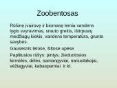 Upių biocenozė 14 puslapis
