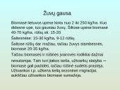 Upių biocenozė 16 puslapis