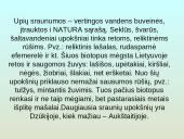 Upių biocenozė 19 puslapis