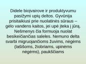 Upių biocenozė 20 puslapis