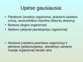 Upių biocenozė 3 puslapis