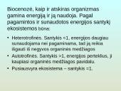 Upių biocenozė 5 puslapis