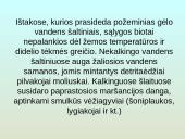 Upių biocenozė 8 puslapis