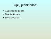 Upių biocenozė 10 puslapis