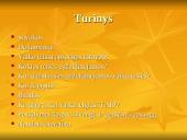 Vaikų teisių apsaugą reglamentuojantys dokumentai. Teisių pažeidimai. Sąlygos vaikų teisėms užtikrinti 2 puslapis