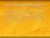 Vaikų teisių apsaugą reglamentuojantys dokumentai. Teisių pažeidimai. Sąlygos vaikų teisėms užtikrinti 8 puslapis