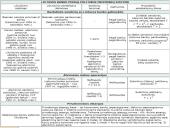 Valiutų valdybos modelis 11 puslapis