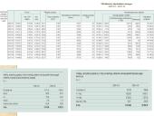 Valiutų valdybos modelis 13 puslapis