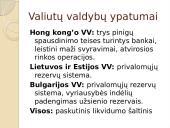 Valiutų valdybos modelis 15 puslapis