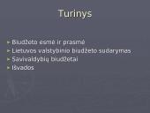 Valstybės finansai: valstybės ir savivaldybių biudžetai 2 puslapis