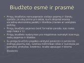 Valstybės finansai: valstybės ir savivaldybių biudžetai 3 puslapis