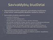 Valstybės finansai: valstybės ir savivaldybių biudžetai 7 puslapis