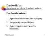 Valstybinio socialinio draudimo įmokos 2 puslapis