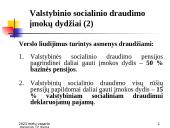 Valstybinio socialinio draudimo įmokos 11 puslapis