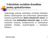 Valstybinio socialinio draudimo įmokos 12 puslapis