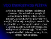 Vėjo energija Lietuvoje ir pasaulyje 11 puslapis