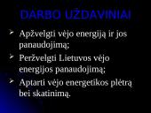 Vėjo energija Lietuvoje ir pasaulyje 3 puslapis