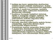 Viduramžių kultūra: švietimas, mokslas, menas 13 puslapis