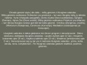 Viduramžių bažnytinė muzika 6 puslapis