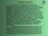 Vienaląsčiai 2 puslapis