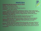 Vienaląsčiai 3 puslapis