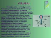 Vienaląsčiai 4 puslapis