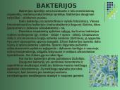 Vienaląsčiai 5 puslapis