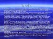 Viešvilės rezervatas 2 puslapis