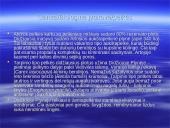 Viešvilės rezervatas 13 puslapis