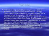 Viešvilės rezervatas 5 puslapis