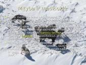 Vilkų gyvenimas 5 puslapis