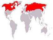 Vilkų gyvenimas 7 puslapis