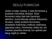 Virškinimas burnoje 11 puslapis