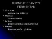 Virškinimas burnoje 13 puslapis