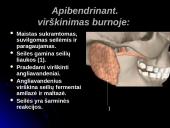 Virškinimas burnoje 14 puslapis
