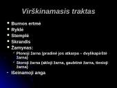 Virškinimas burnoje 3 puslapis